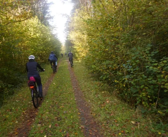 Cycling in nature